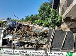 Best Shed Removal  in Grifton, NC